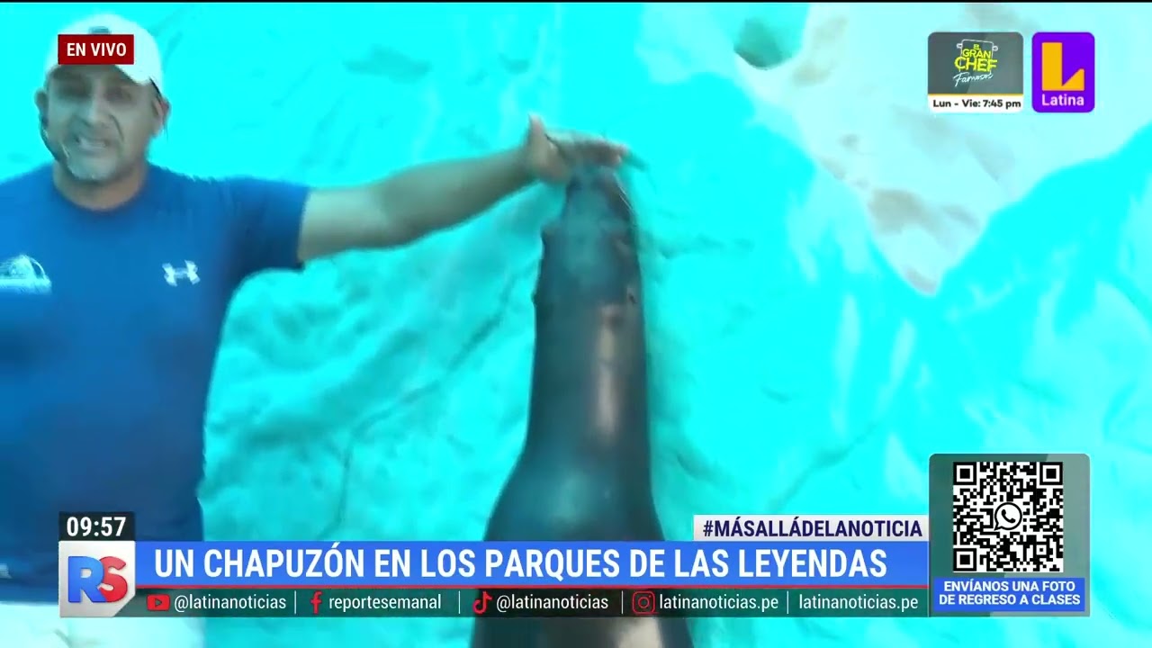 Gran experiencia en el Parque de las Leyendas