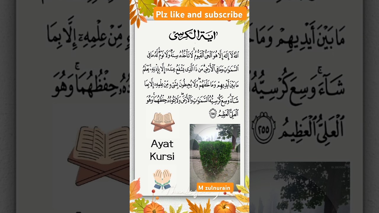 #special #islamicstatus #video#happy  #jummamubarak  #urduislamicvideos (M Zulnurain Haider)