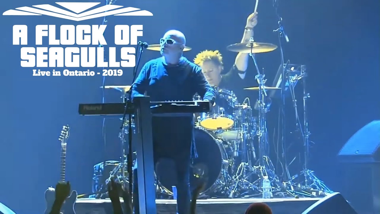 A Flock Of Seagulls - Modern Love Is Automatic - Live in Ontario 2019 Video HD