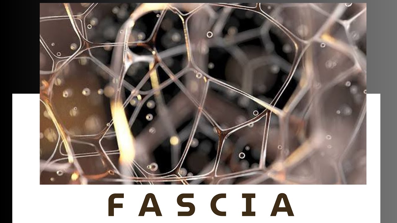 FASCIA & PROPRIOCEPTORS.