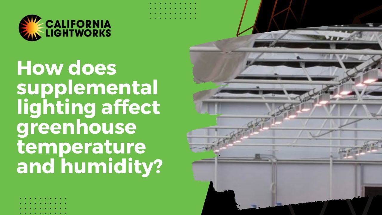 How does supplemental lighting affect greenhouse temperature and humidity?