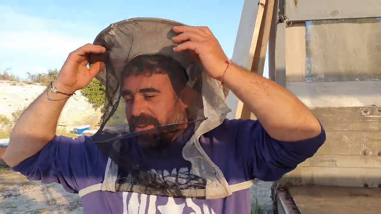 Πώς κόβω παραφυάδες σε 6ρες κυψέλες, μεταφορά σε μακρυνή απόσταση και τοποθέτηση βασιλικών κελιών.