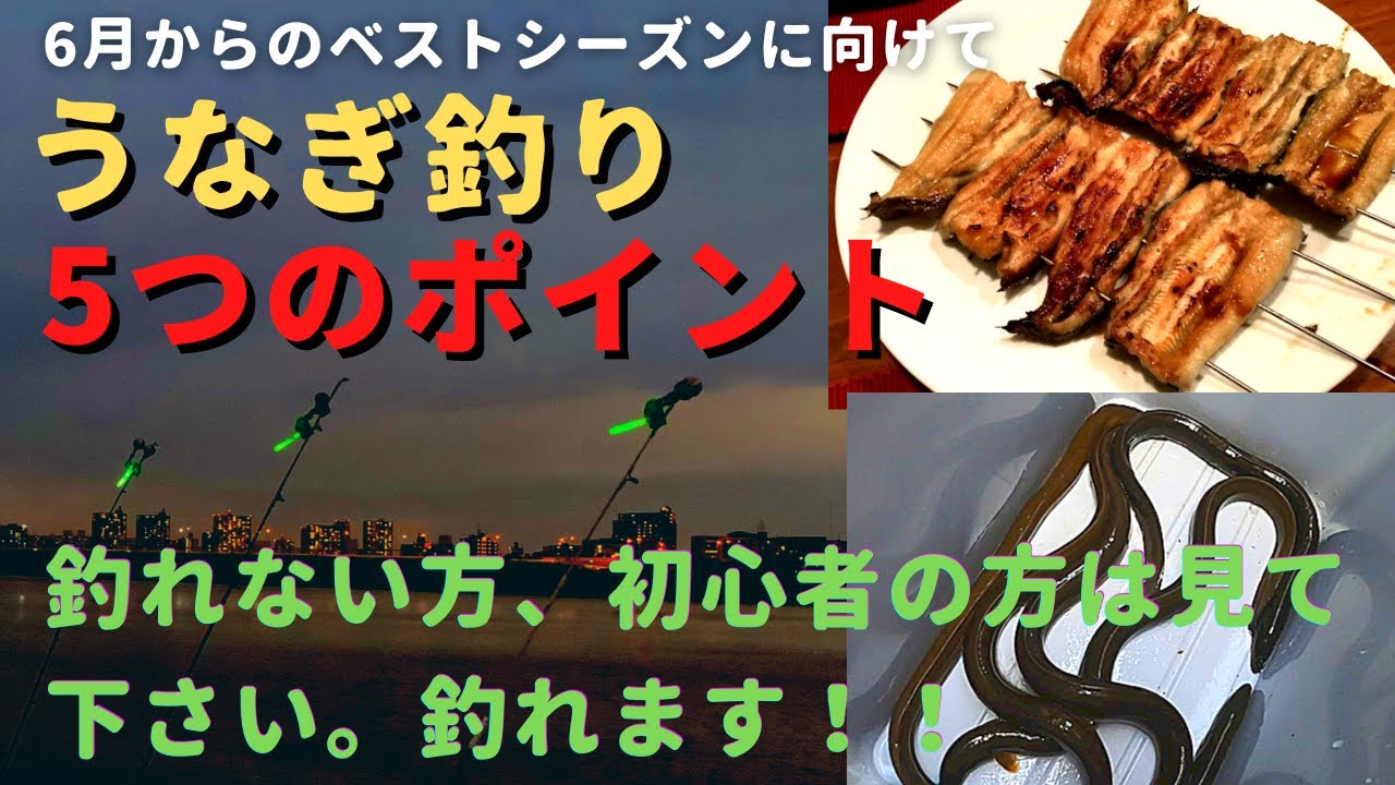 【うなぎ釣り　釣り方】徹底解説　釣れない方は試してみて下さい (#37)