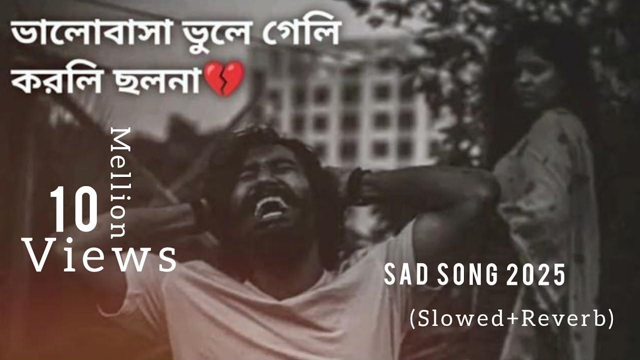 ভালোবাসা ভুলে গেলি কৰলি ছলনা || bengali song | Sad song 2025 | LO-FI Mashup song | @SMMusice | viral