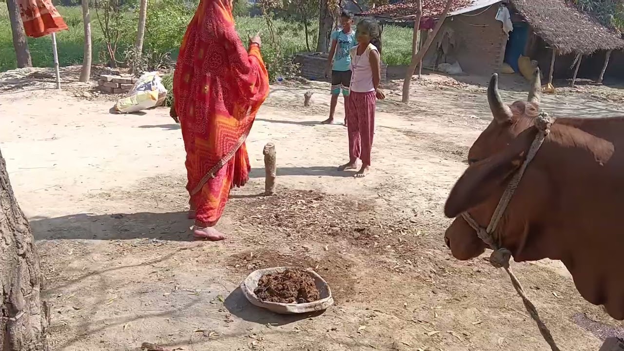 ननंद भोजाई की होली खेल मेरी छोटी सी नंद मुझे बहुत रंगलगे#