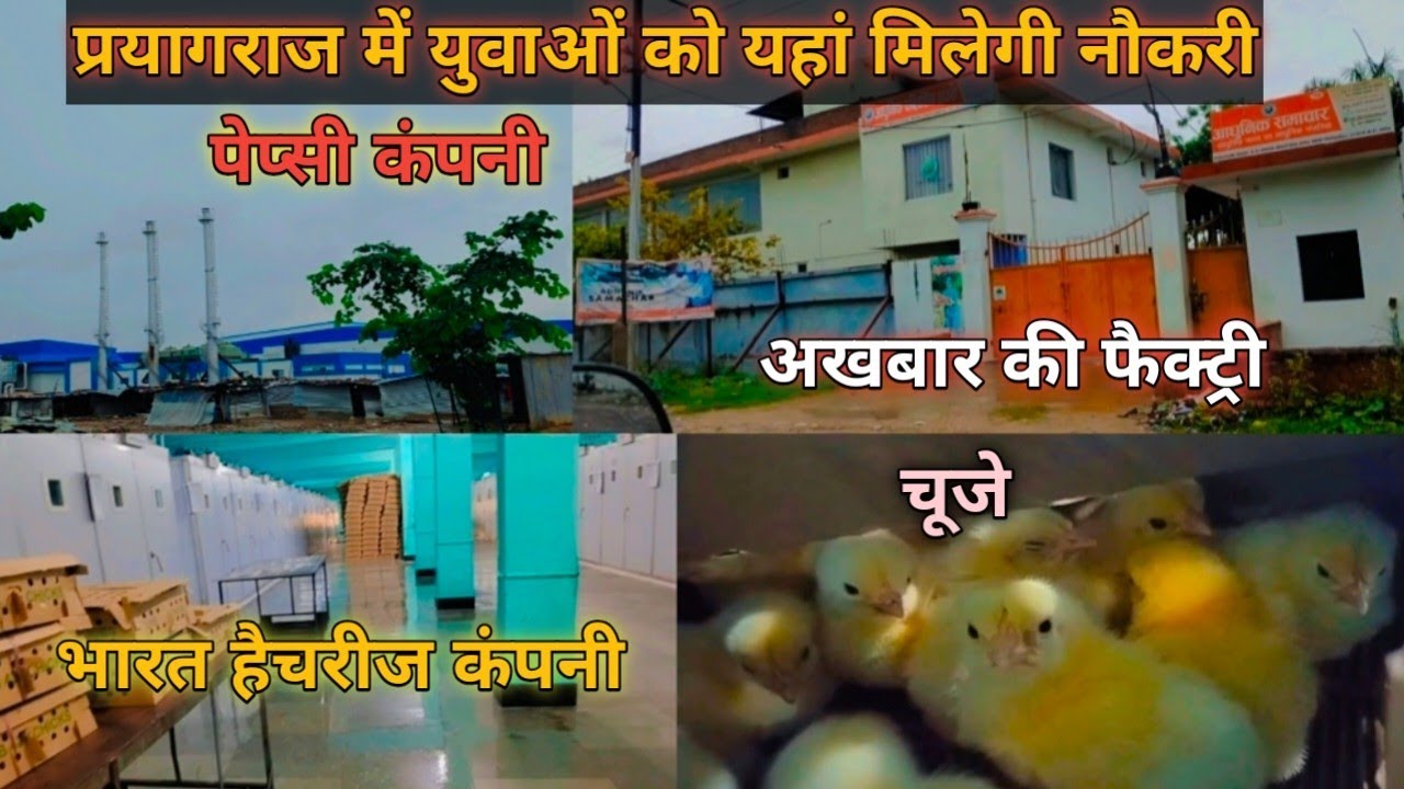 प्रयागराज में युवाओं के लिए नौकरी || प्रयागराज इंडस्ट्रियल एरिया || Jobs in Prayagraj ||