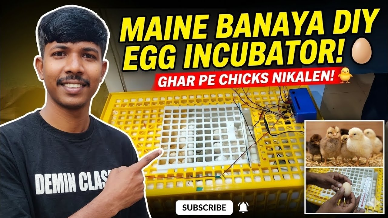 Homemade Egg Incubator Banaya | Egg Incubator at Home | Chick Hatching Machine | Village Life Vlog
