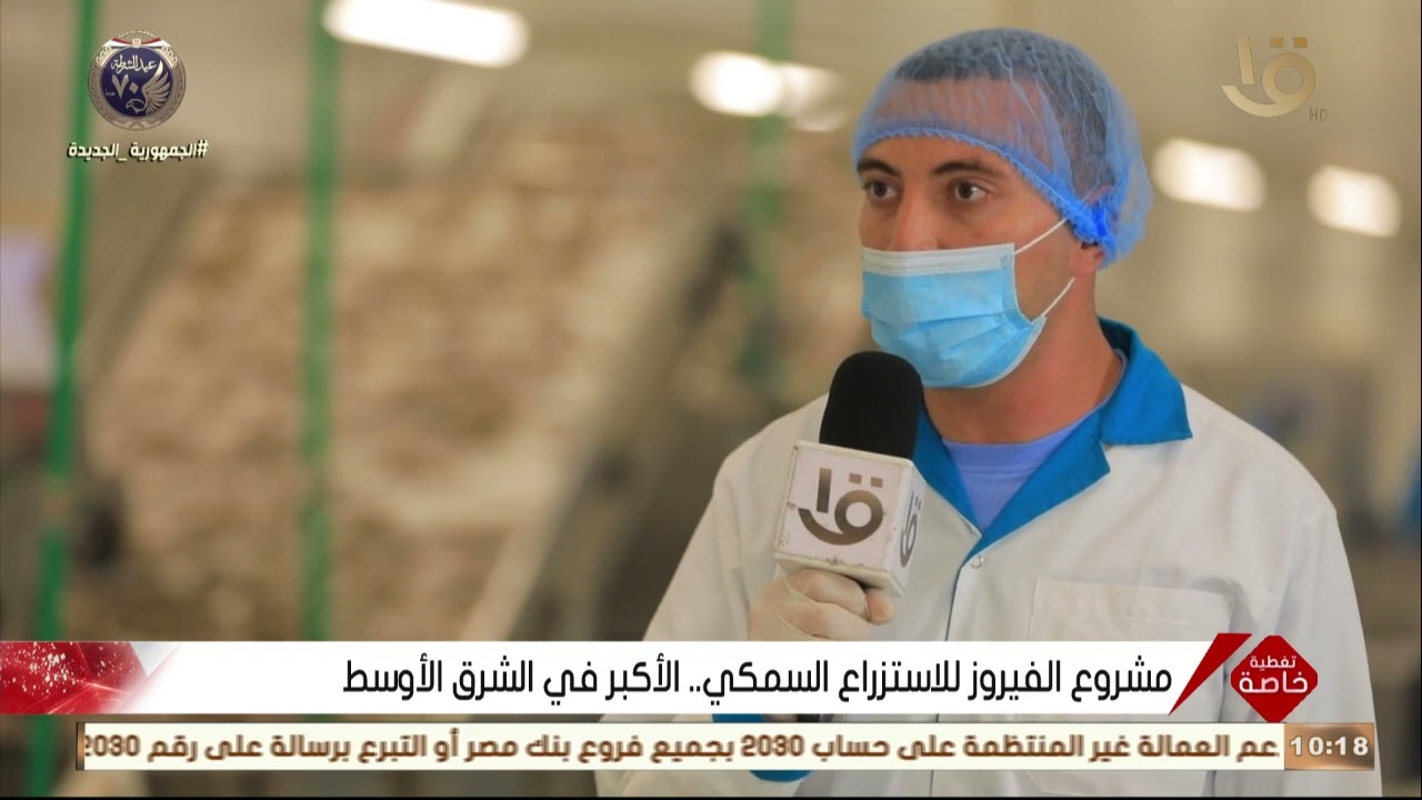تغطية خاصة | مصانع مشروع الفيروز.. بطاقة إنتاجية 8 أطنان أسماك يومياً