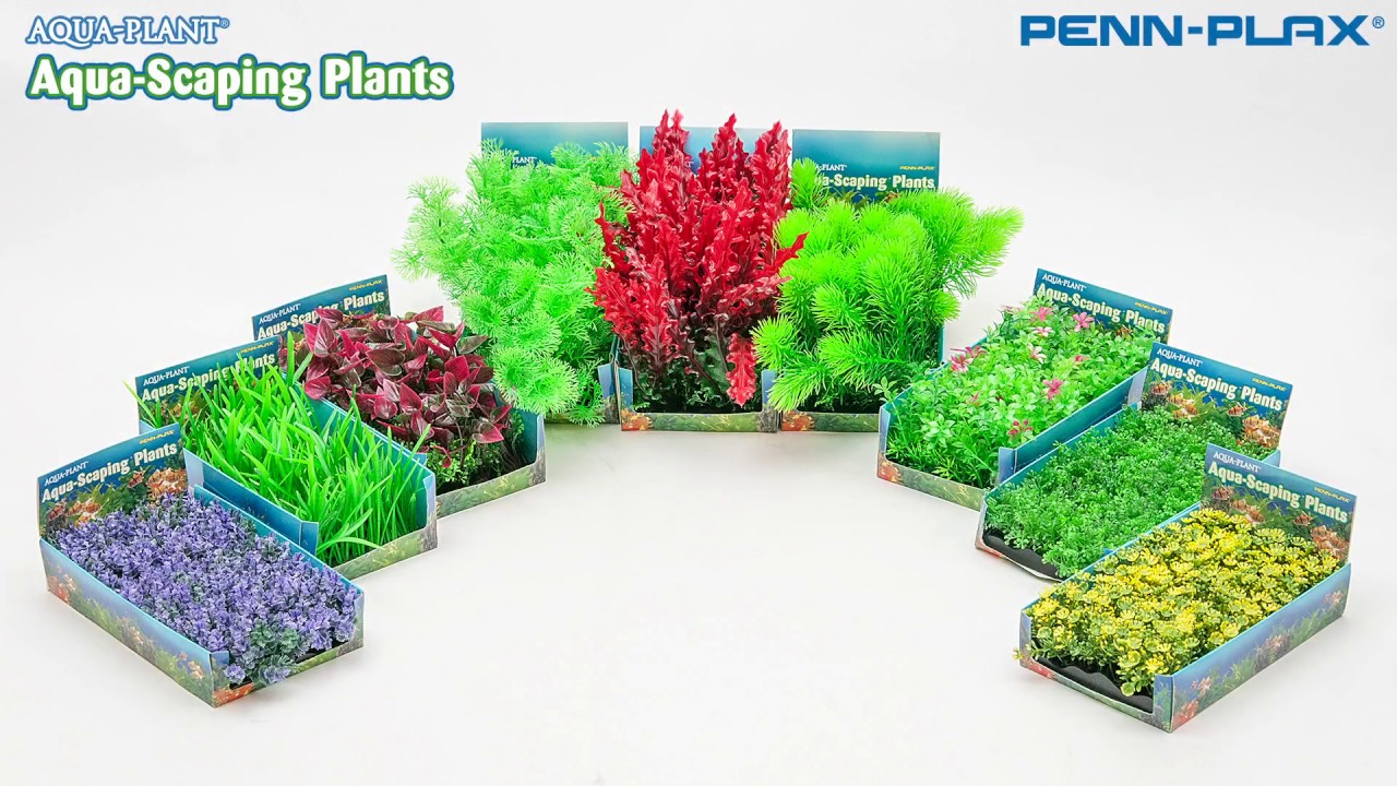 New Aquascaping Bunch Plants From Penn-Plax