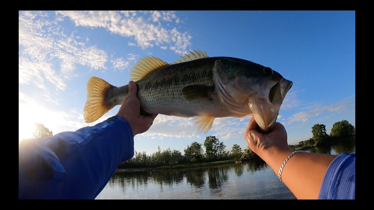 Catching MONSTER BASS Where You Would NEVER Expect! (Dam B, Texas)