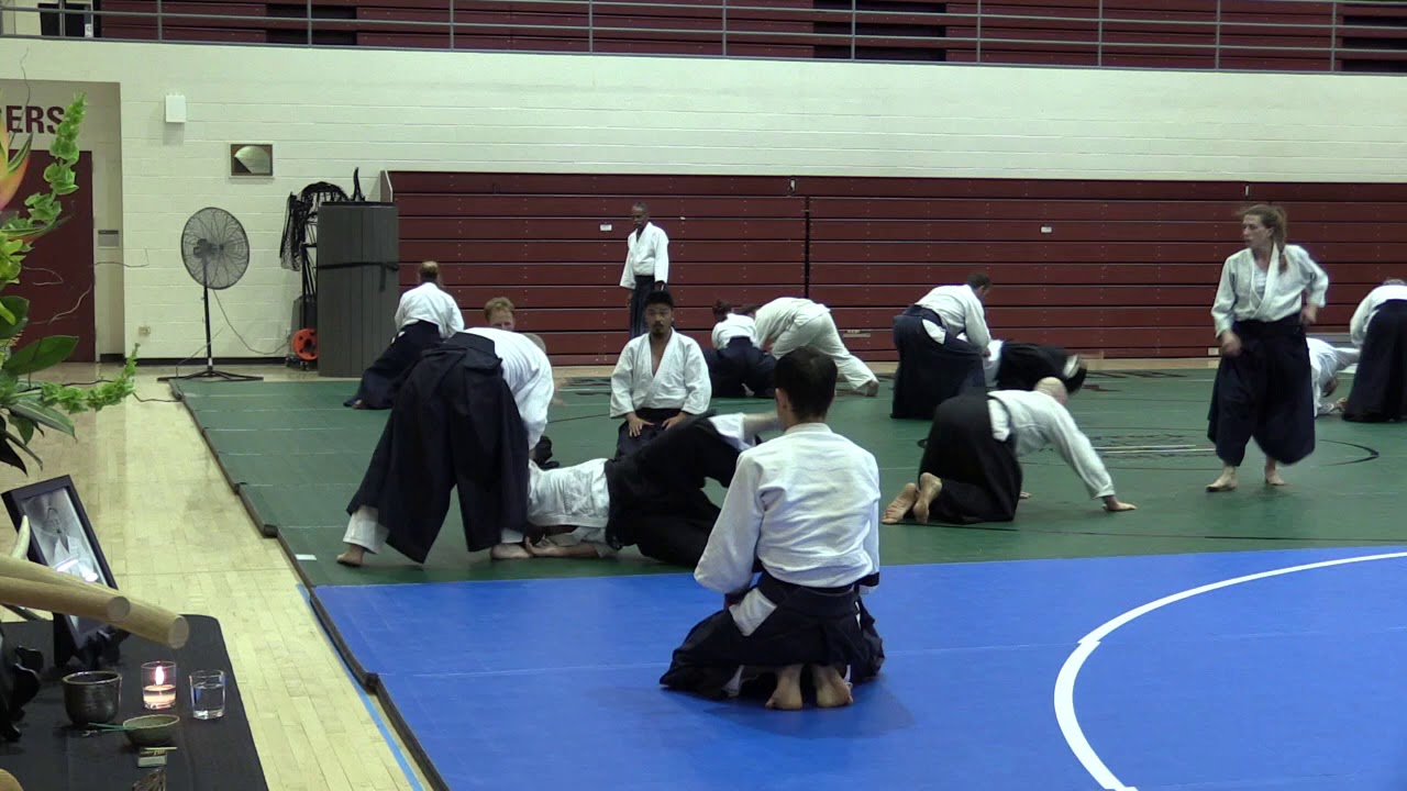 Birankai Aikido Summer Camp 2018 - D. Boyet, Class 4