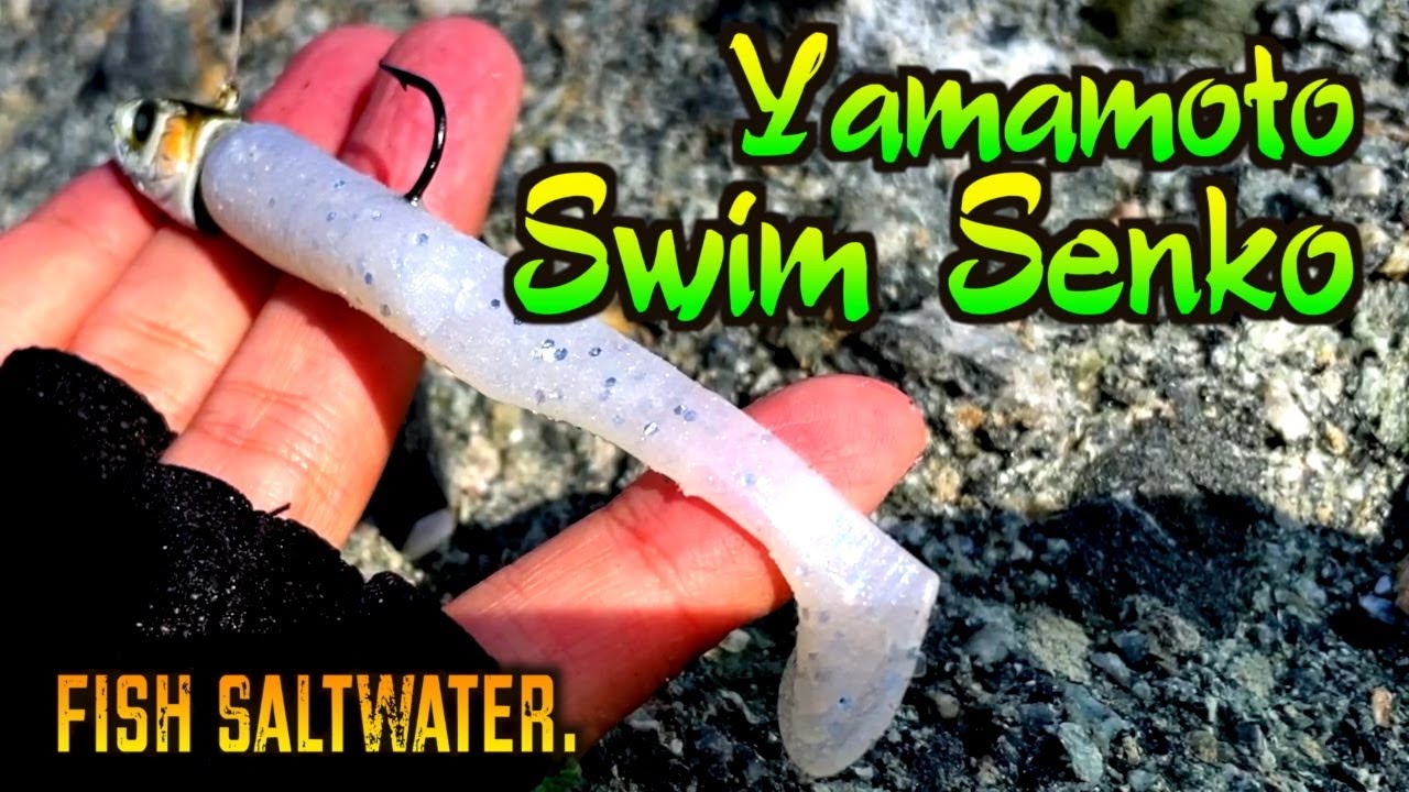 The Senko Works in Salt?! – Fish the Swim Senko For Saltwater
