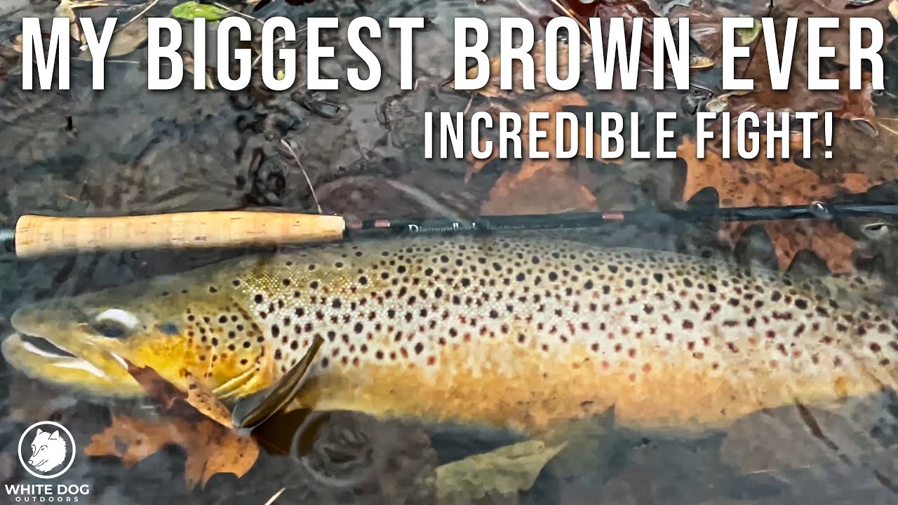 My BIGGEST Brown Trout Ever - BRUTAL Fall Conditions