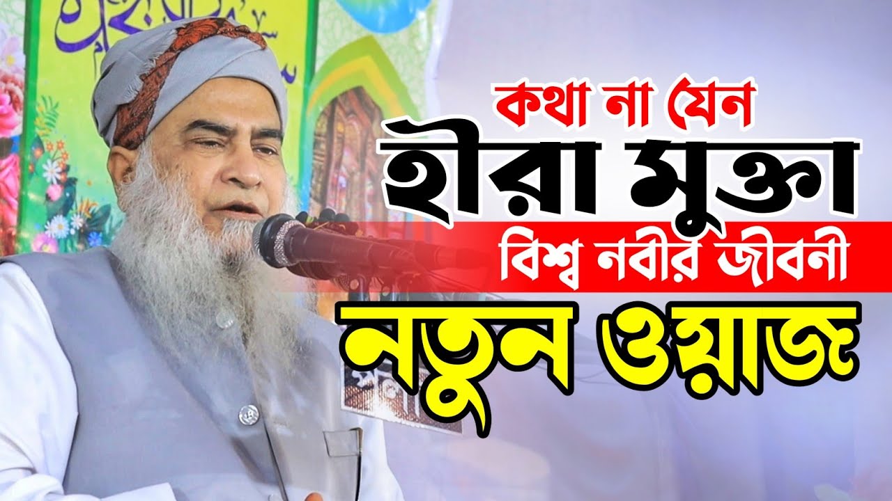 আল্লামা শাহ সালাউদ্দিন নানুপুরি দাঃ বাঃ নতুন ওয়াজ | Allama Salauddin Nanupuri | new waz 2025