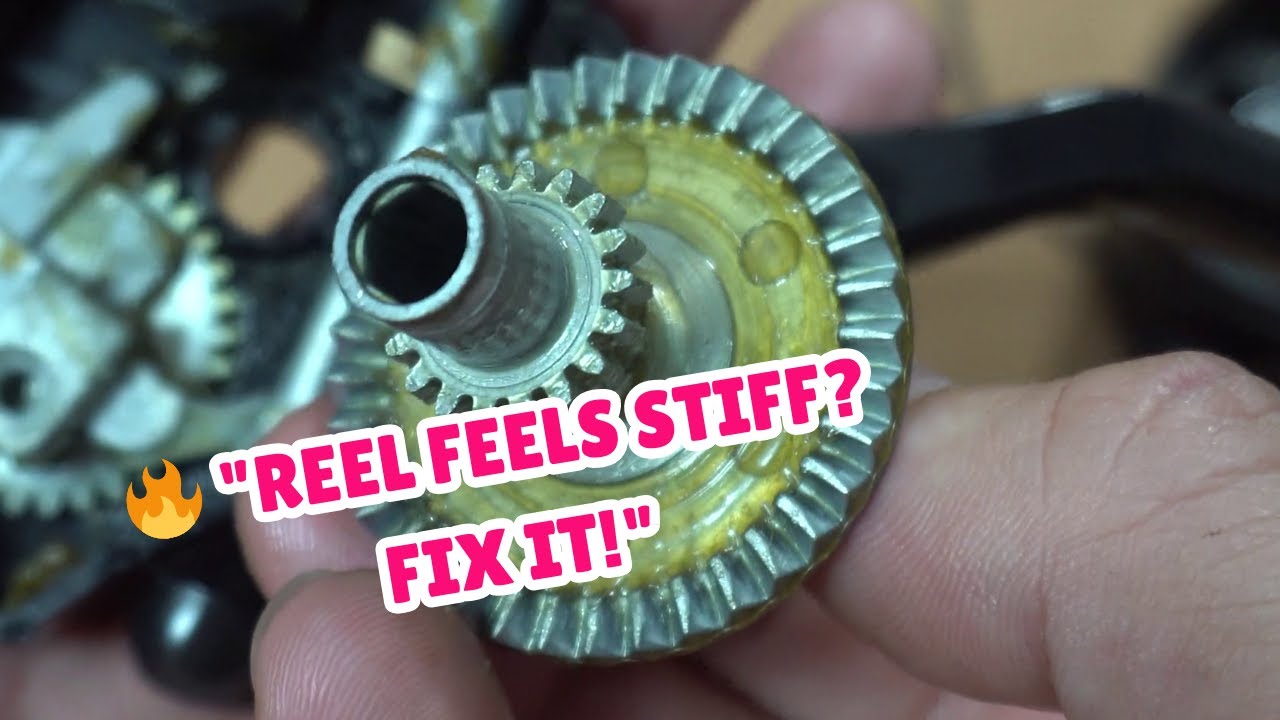 How to Fix a Daiwa Regal Reel That Feels Heavy and Makes Noise