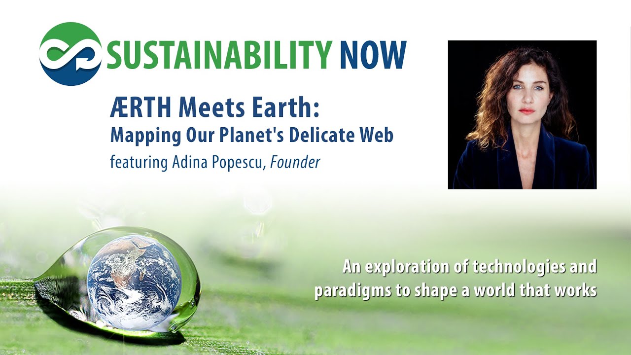 89 ÆRTH Meets Earth   Mapping Our Planet's Delicate Web