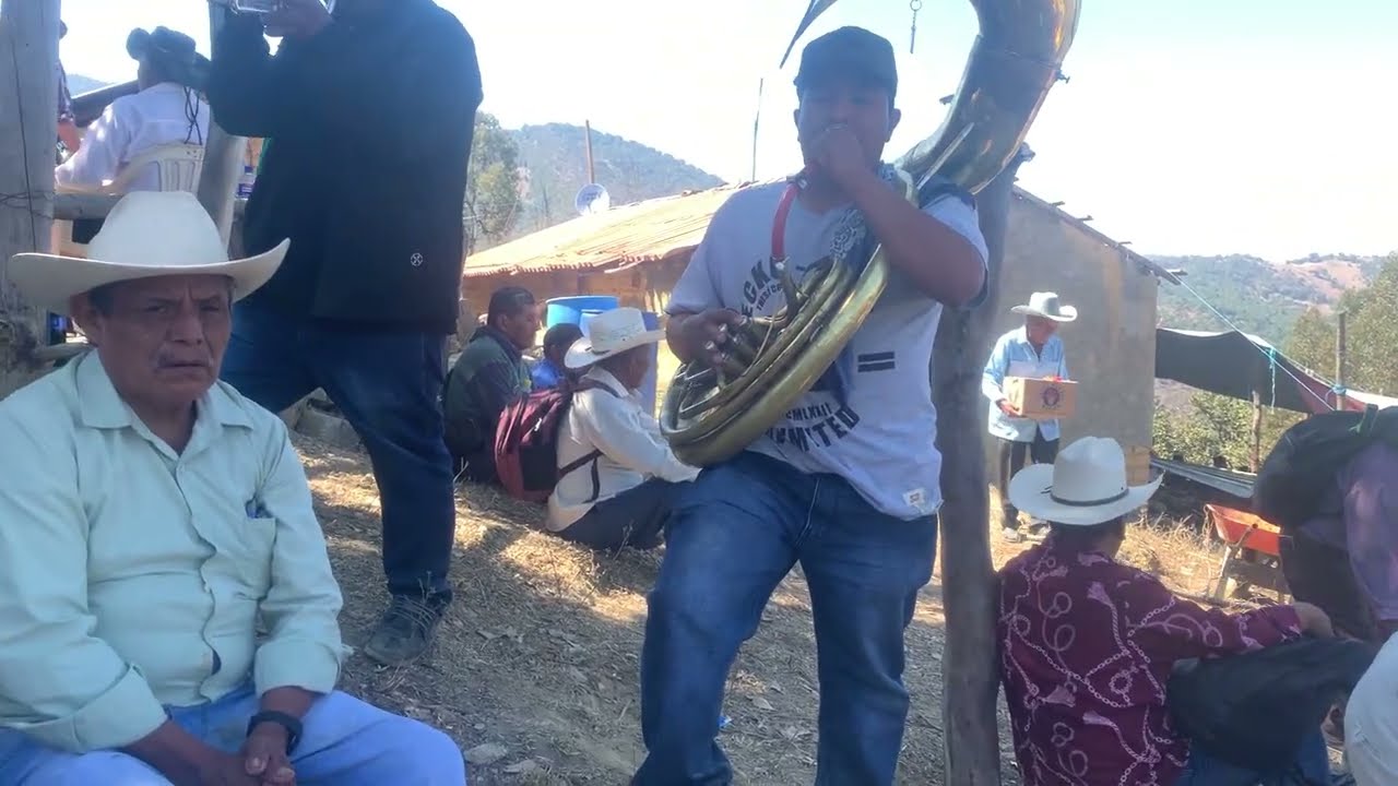 ESTA BANDA DE VIENTO TOCA CON MUCHO PROFESIONALISMO y son los muchachos de Tlaxco Gro.😱🔥