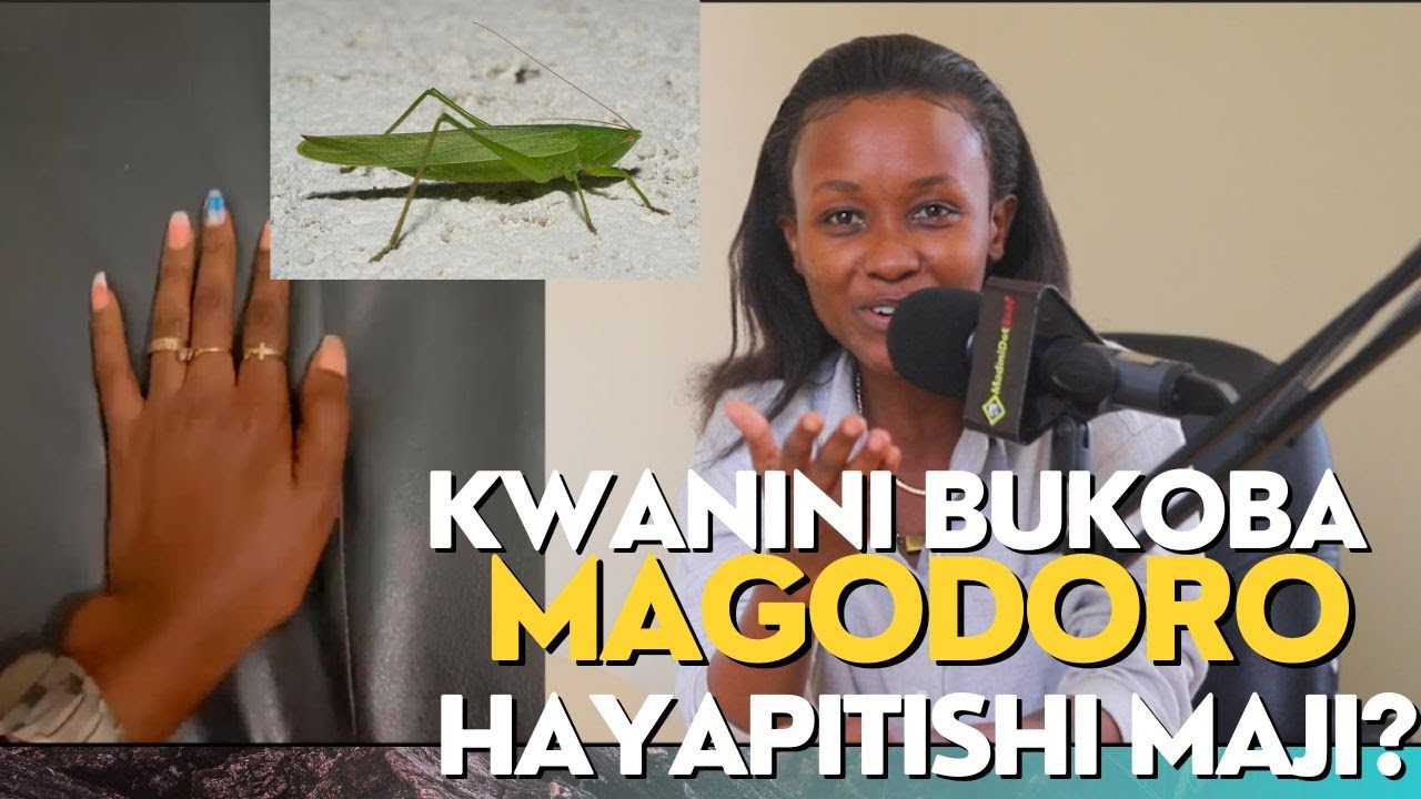 Senene wanapatikanaje ? Kwanini vitanda 'Guest houses'  Bukoba vipo hivi?