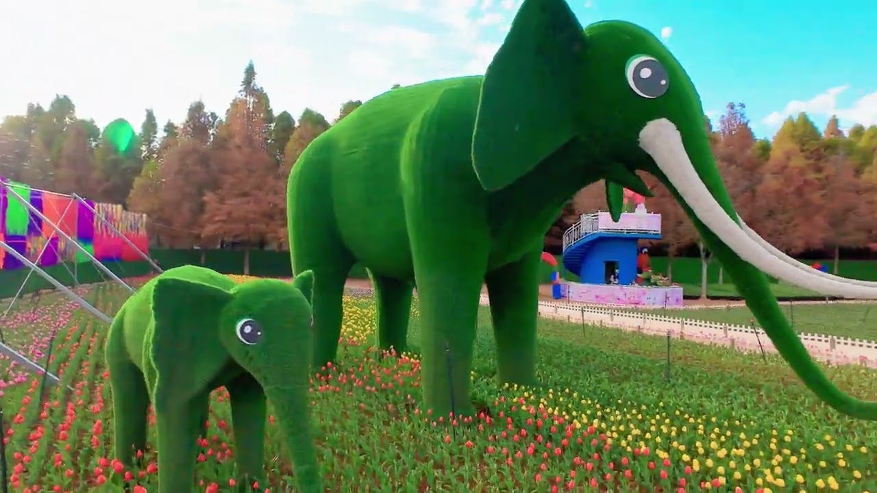 雲南昆明-撈魚河國家濕地公園 (航拍)