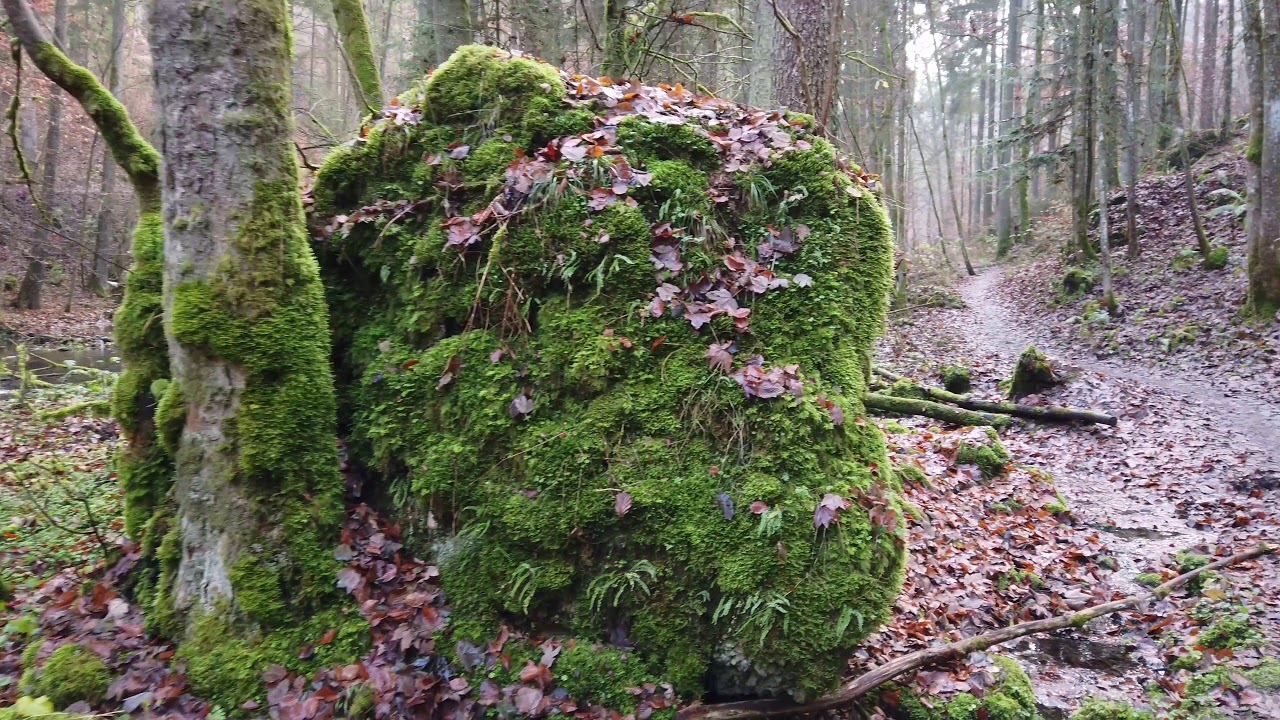 Oberes Püttlachtal - Teil 1 -
