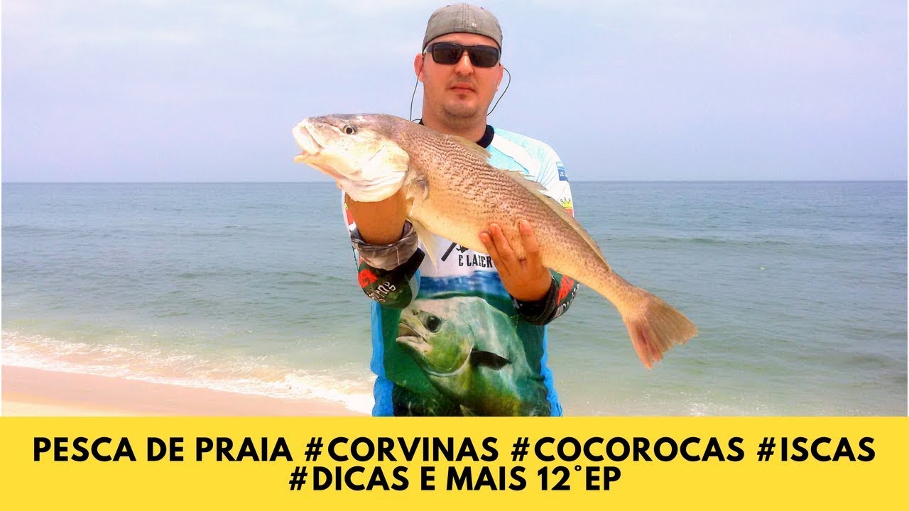 Pesca de Praia #Corvinas #Cocorocas #Iscas #Dicas e Mais 12°EP
