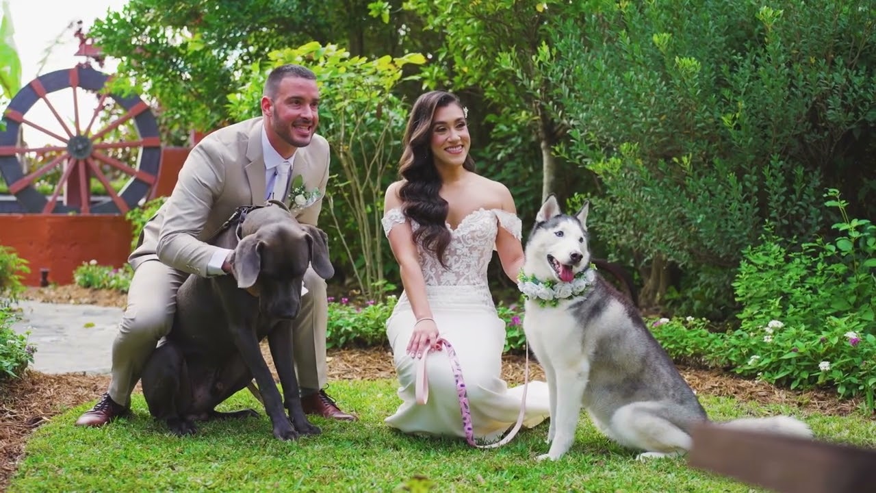 George & Elisa’s Wedding Highlight | Redland Farm Life