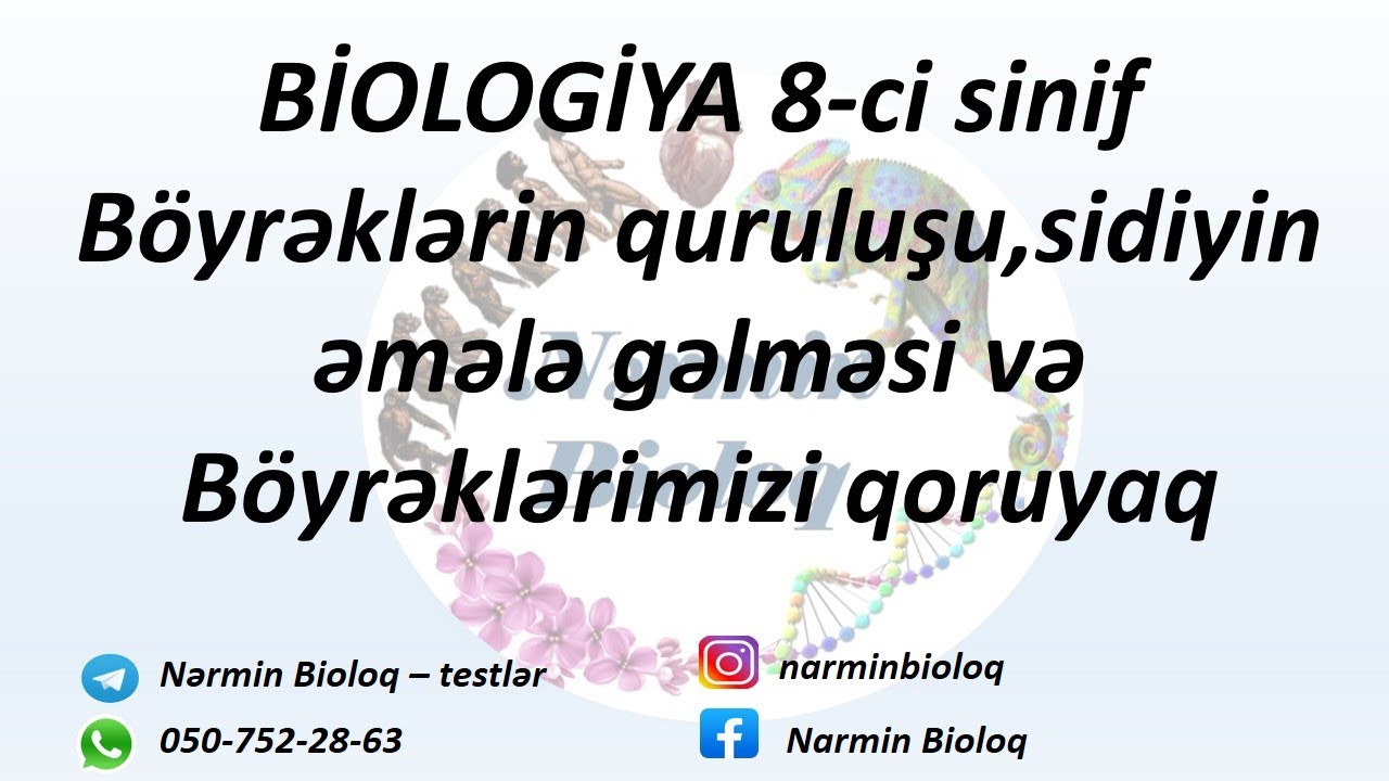 BİOLOGİYA 8-ci sinif Böyrəklərin quruluşu,sidiyin əmələ gəlməsi və Böyrəklərimizi qoruyaq.