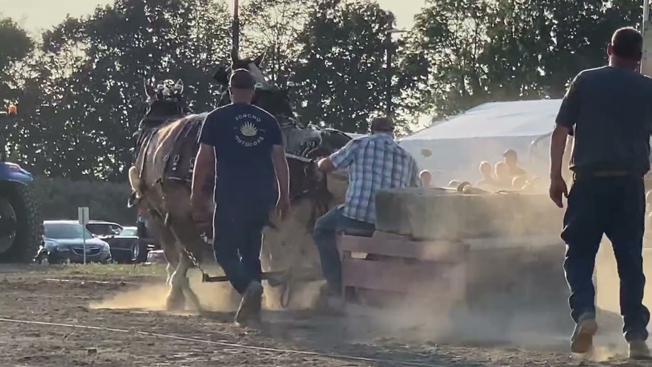 Lowell heavy horse pulls 2025
