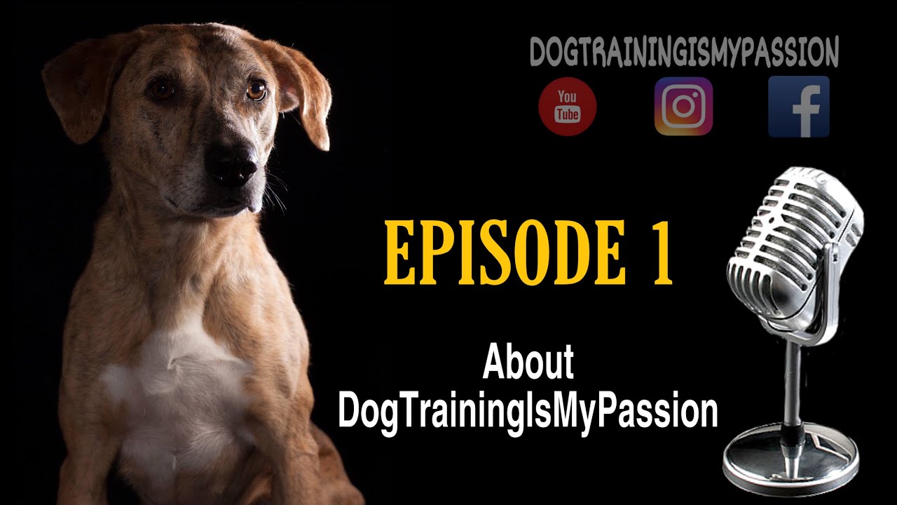 Episode 1. About DogTrainingIsMyPassion