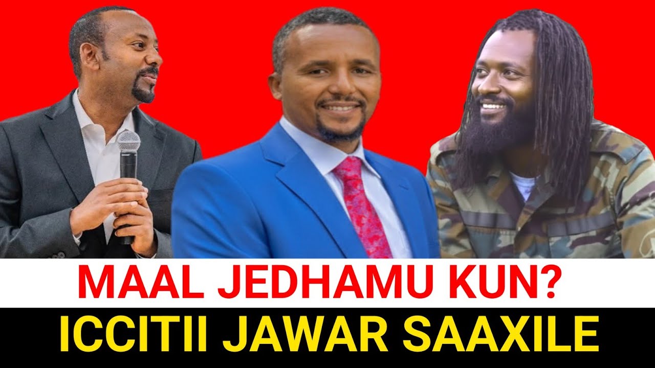 ODUU Hatattamaa Jaal Marroo Deebii Abiy Ahmed Naasise Kenne Jawar mal ? | Moha Oromo 