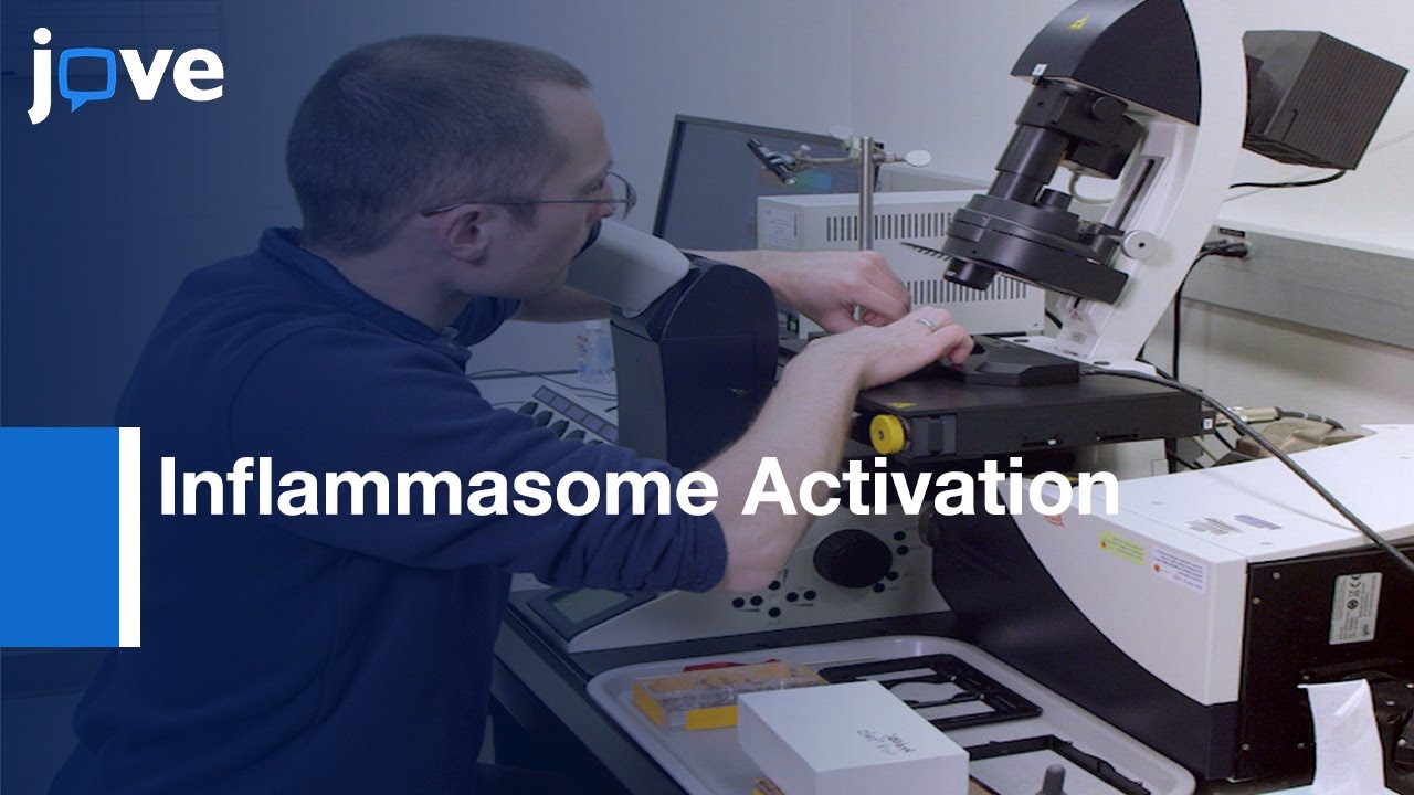 Inflammasome Activation Detection and Pyropototic Cell Death | Protocol Preview