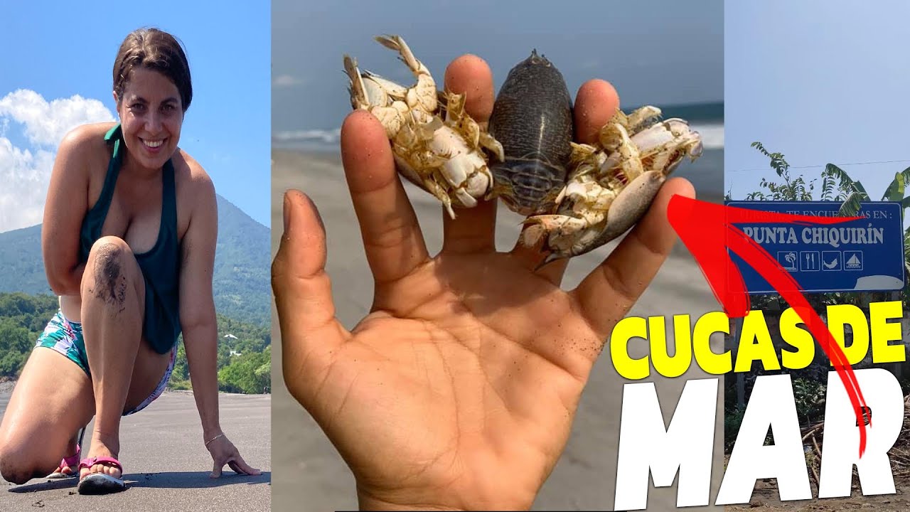 Playa punta Chiquirin en la Unión un paraíso con las mejores vistas de El Salvador