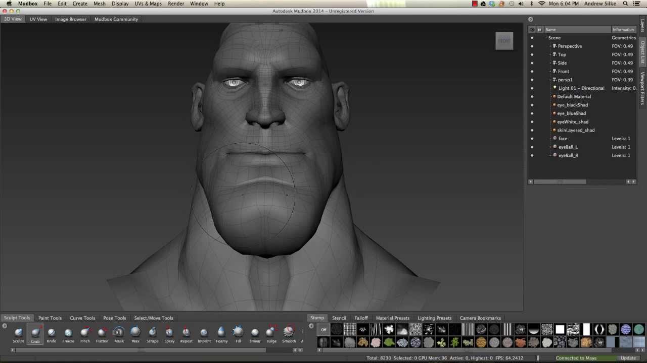 Sculpting Facial Blendshapes in Mudbox: Sculpting Tools