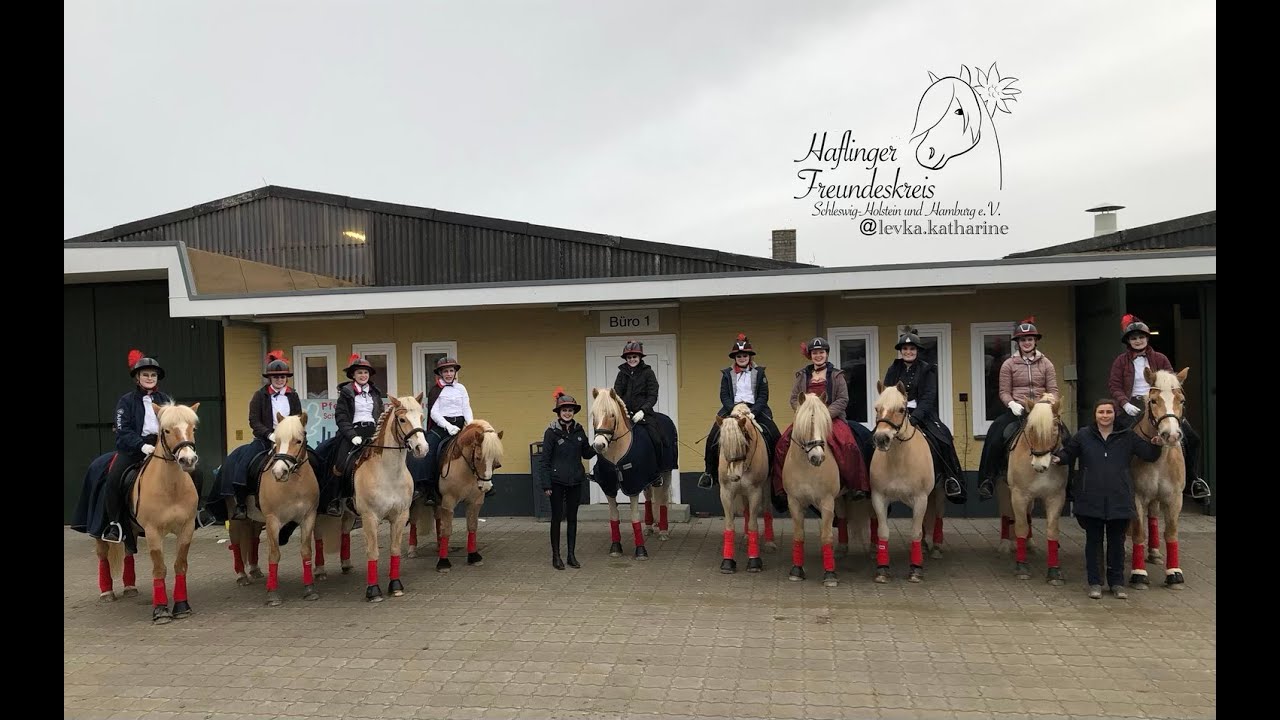 Quadrille des Haflinger Freundeskreis SH/H H Pferdestammbuch 2023 Holstenhalle
