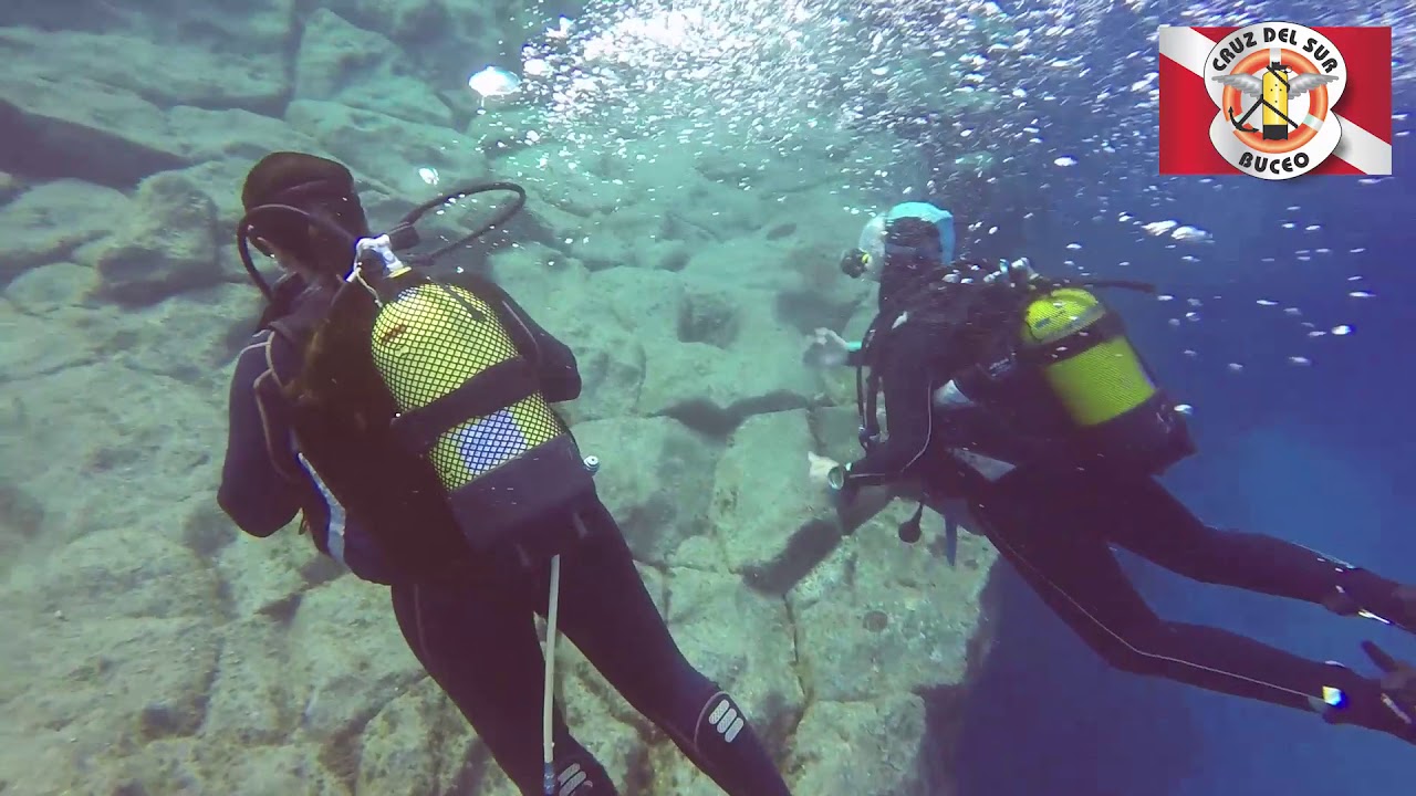 BUCEO EN TENERIFE 2018