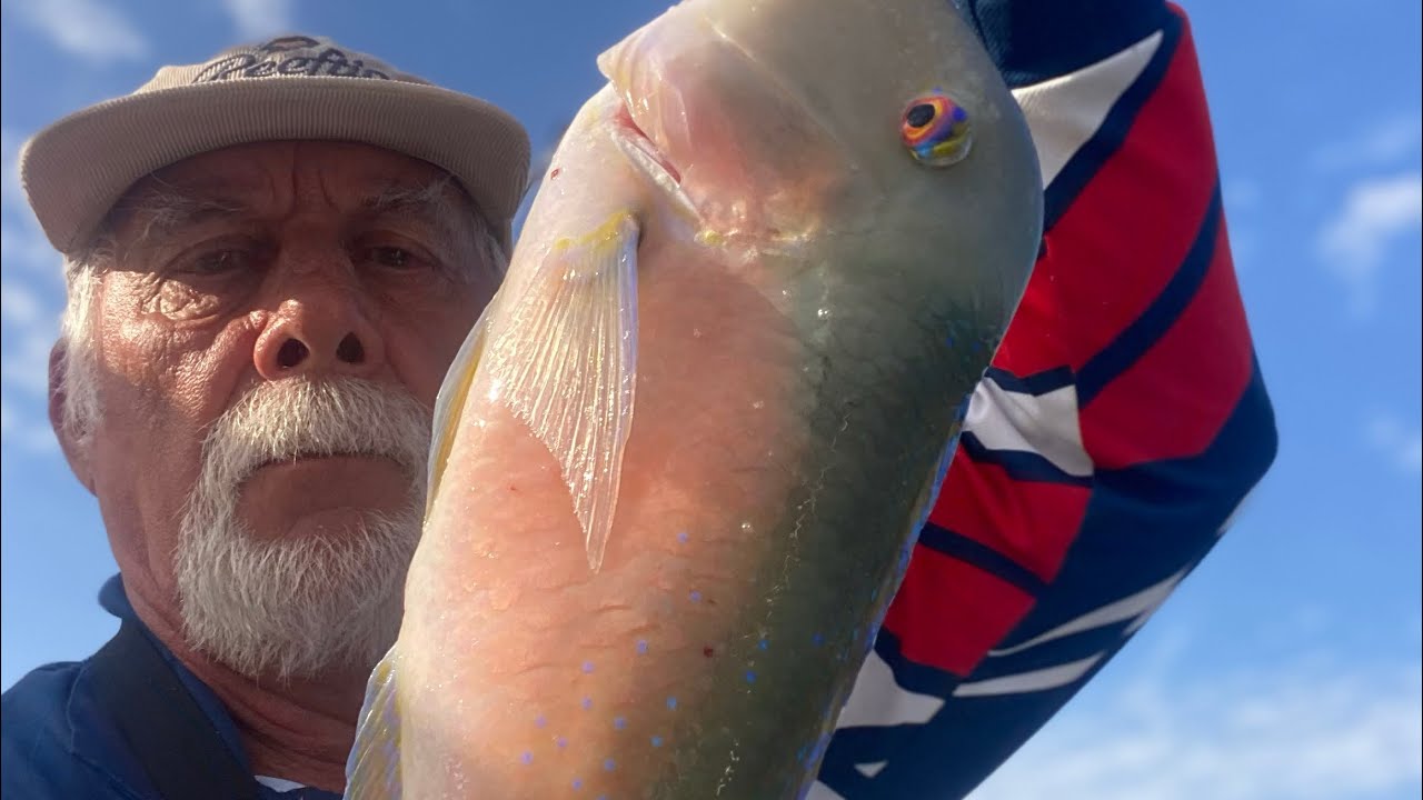 Coffs Harbour January  episode 3 
