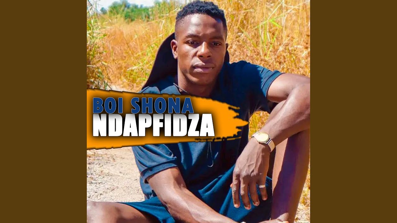 Ndapfidza