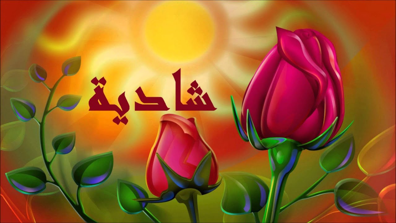 شادية - خلاص مسافر - حفلة - جودة عالية - HD