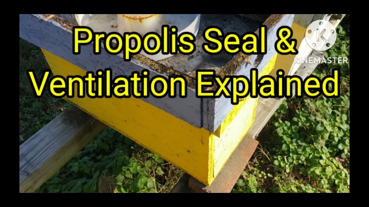 Propolis Seal & Ventilation Explained