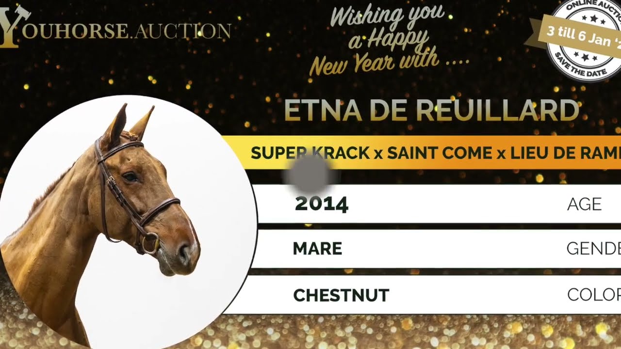 Etna de Reuillard winning six bars 1m90! January 3th