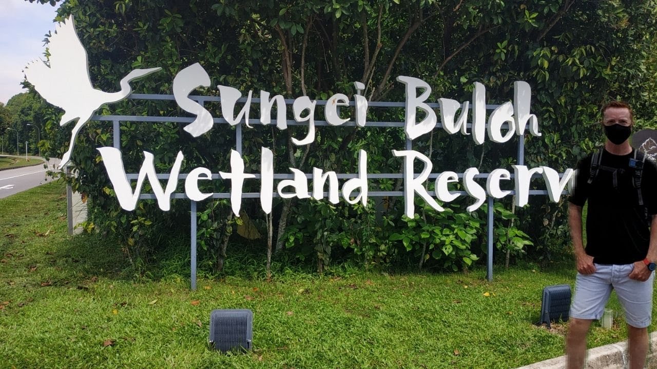 SUNGEI BULOH WETLAND RESERVE SINGAPORE  🇸🇬 - Nature walk