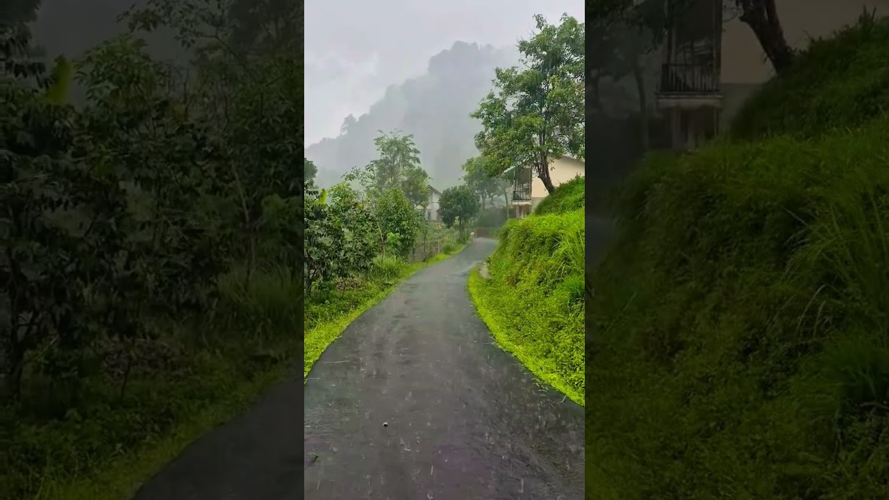 Heavy Rainfall In Assam , Sribhumi #nature #shortsfeed #ytstudioes #ytshorts #shorts #youtube #short