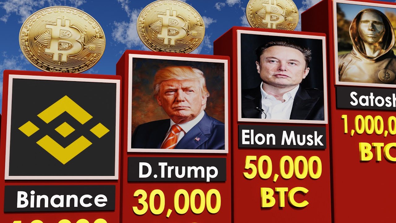 Крупнейшие держатели биткоинов 2025 года