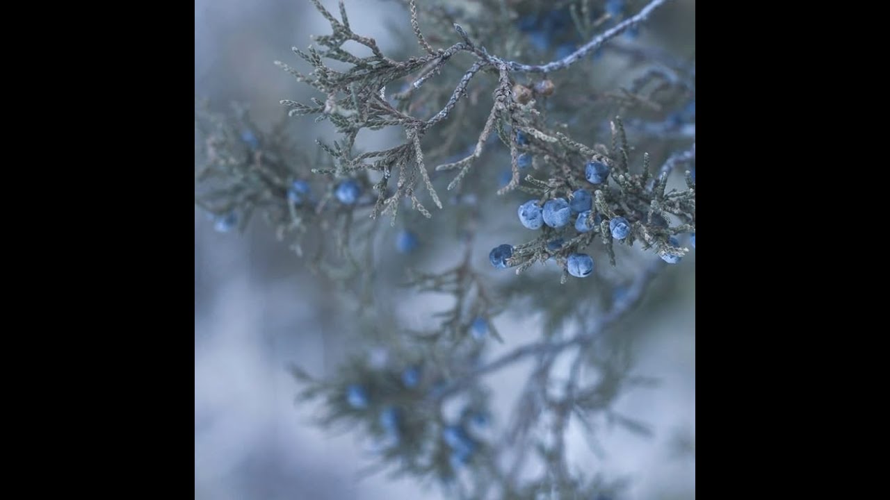 a long winter