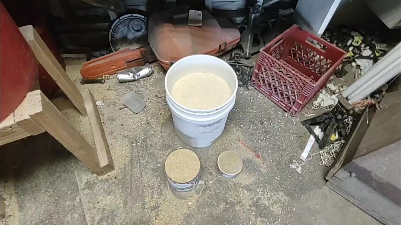 How to mix your own pig feed to save money, easy and simple #pigfarming #mixingfeed #youngfarmer.
