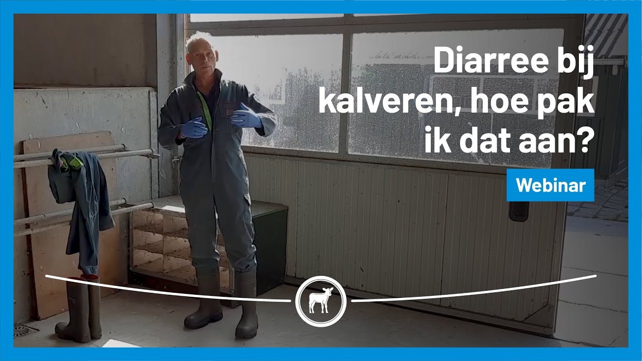 Webinar Diarree bij kalveren &ndash; hoe pak ik dat aan? | 22 september 2021