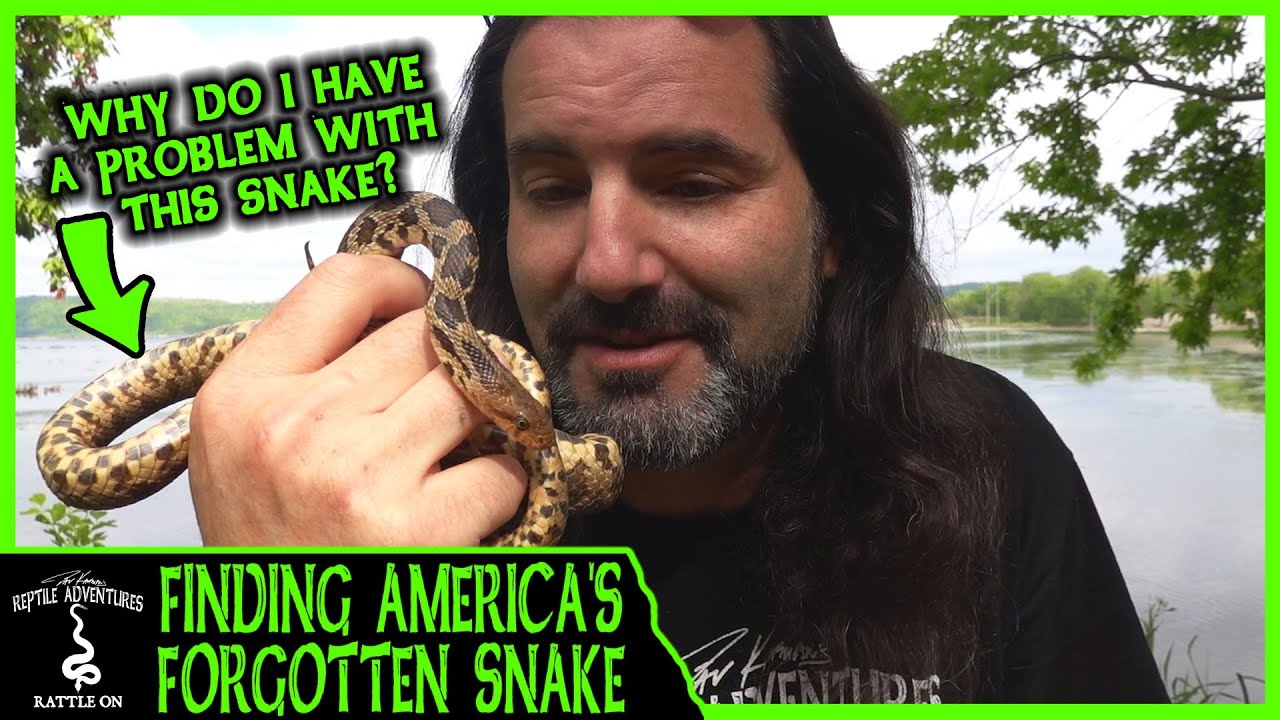 FINDING AMERICA'S FORGOTTEN SNAKE! (and why I have a problem with it)