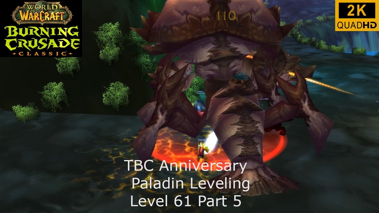 WoW TBC Anniversary | Paladin Leveling | Level 61 Part 5 | Retri Paladin PoV | No Commentary 2K