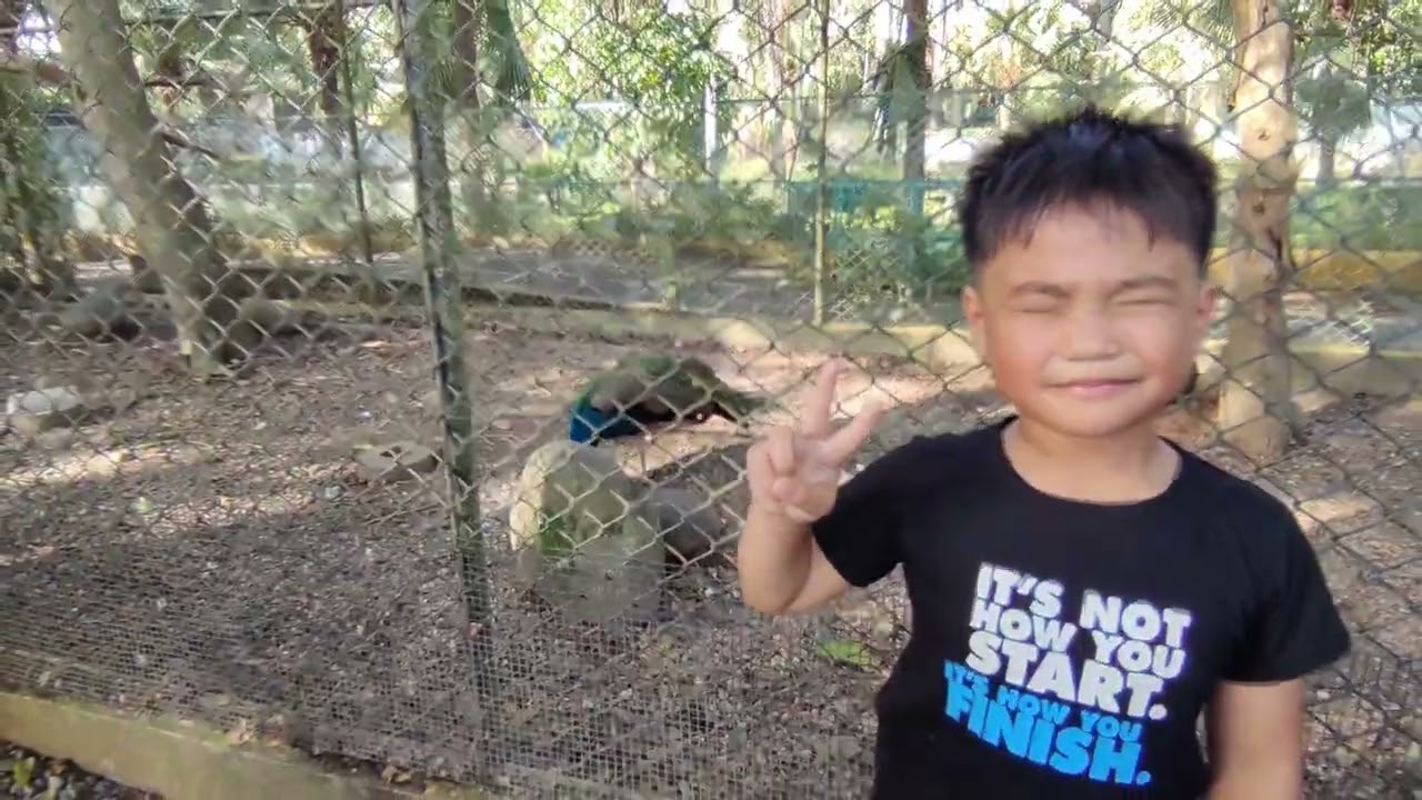 Davao crocodile park 