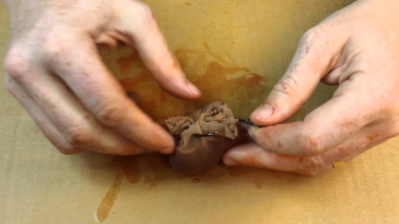 Tie chicken liver with pantyhose - Keep liver on your hook
